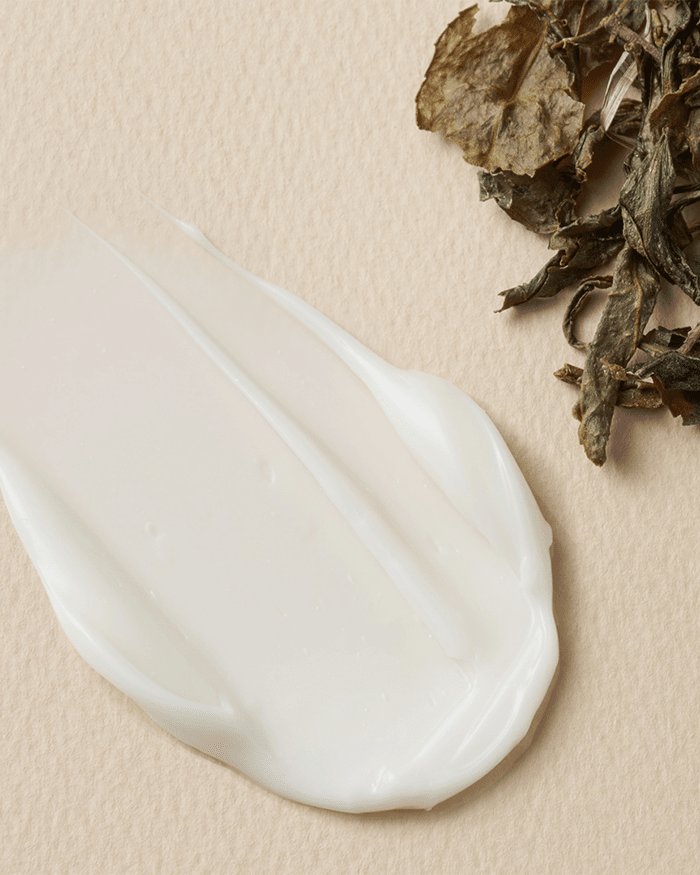 Vinegar Kombucha Vegan Cream